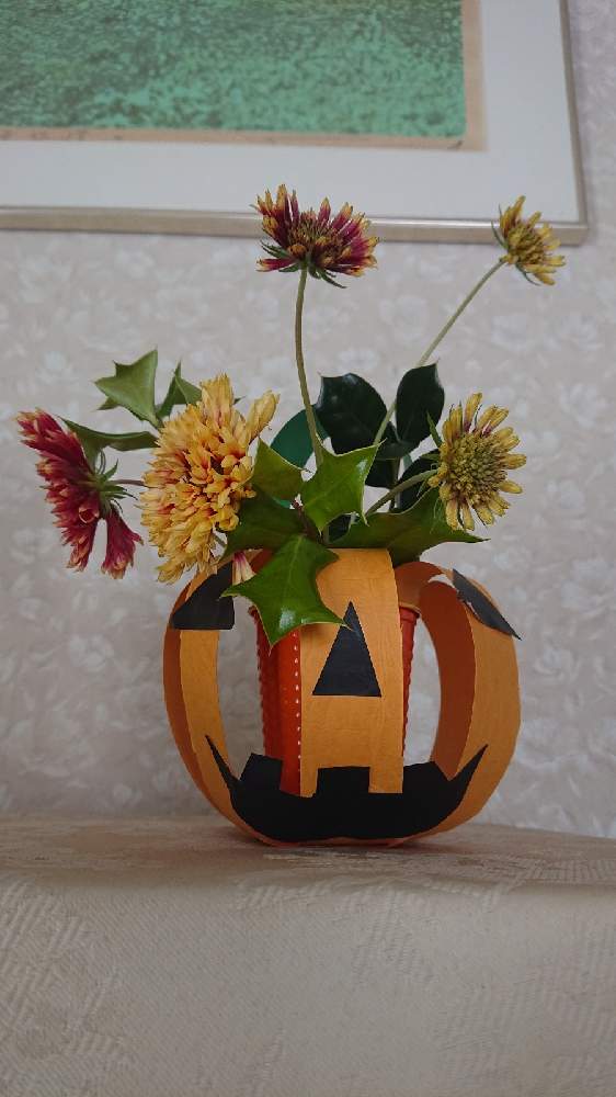 の画像 by まっkyさん | クリスマスホーリーとガイラルディア ラズルダズルと庭の花といけたおはなとハロウィン工作