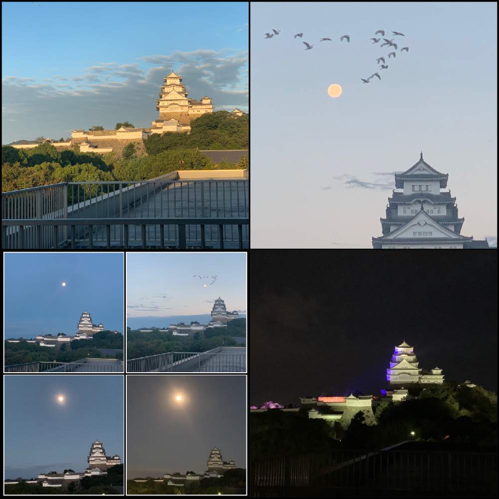 お出かけ先の画像 by Okavangoさん | お出かけ先と城郭・天守閣と世界遺産・姫路城とぐるっと白鷺城と病室暮らしメモ録