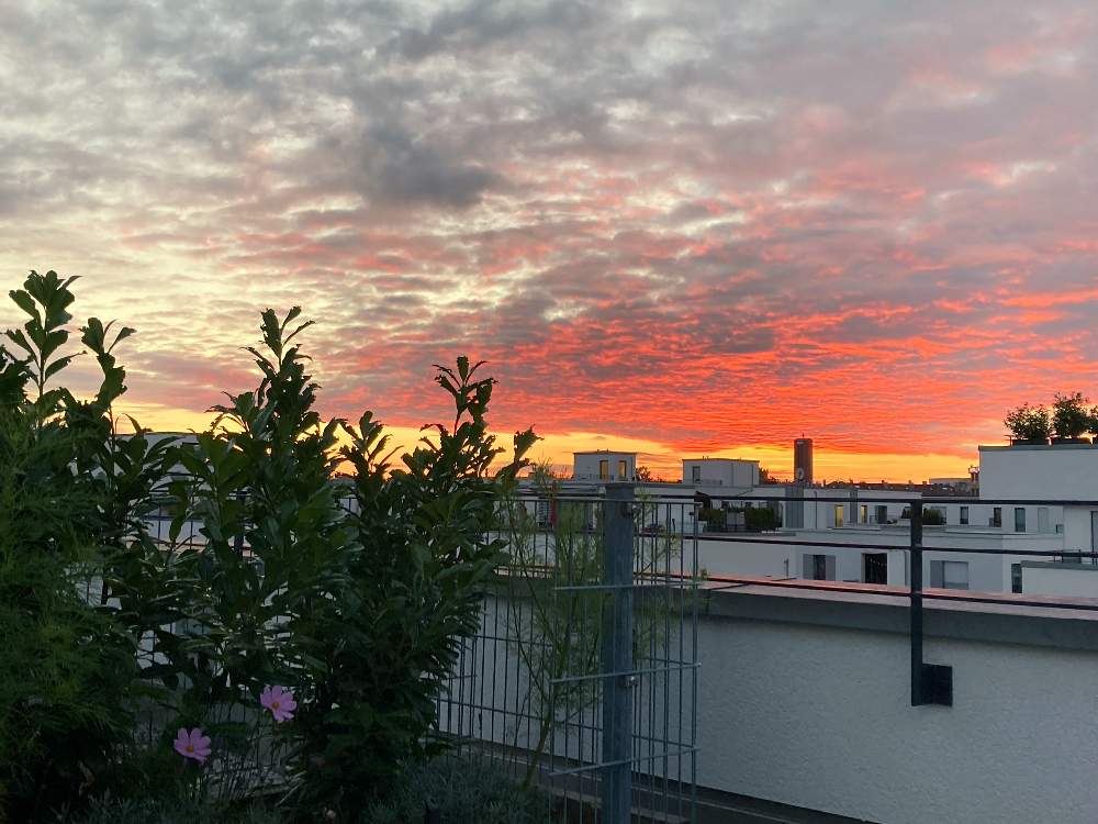 テラスの画像 by kananaさん | テラスとドイツとコスモス♡と雲仲間と夕日とバラと夢CLUBと夕陽とミュンヘンと花のある暮らしと秋の色と秋の夕日