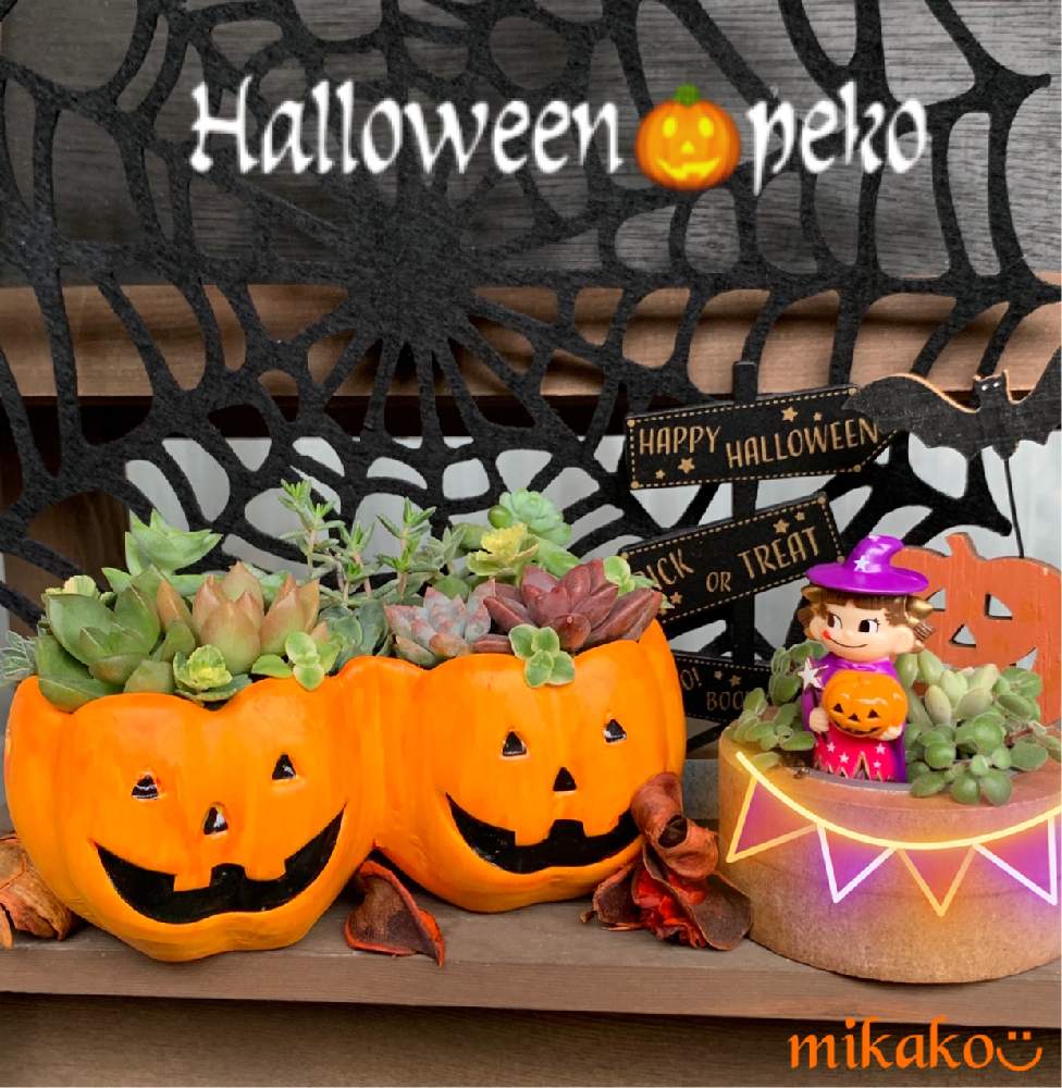 バルコニー/ベランダの画像 by mikako◡̈さん | バルコニー/ベランダと多肉中毒とハロウィンペコちゃんとハロウィン月間とペコちゃん祭りとGS 3年生とハロウィンとバラと夢CLUBと多肉好きとハロウィン寄せ植えとハロウィン雑貨とiPhone撮影