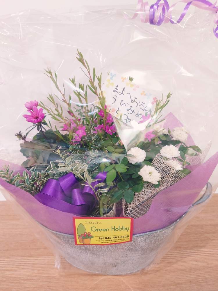 小さな庭の画像 by hitomi.Hさん | 小さな庭とばら バラ 薔薇とグリーンホビーとあき♬と寄植えと誕生日プレゼントとダリア❁