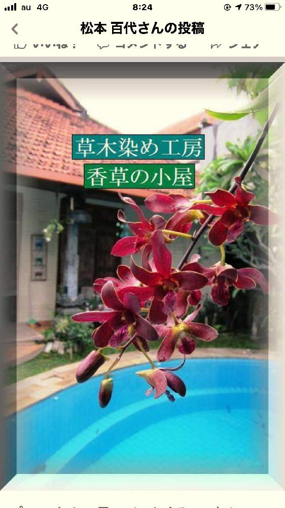 インテリアの画像 by ibumomoさん | インテリアと洋蘭とグリーンインテリアと熱帯アジアでトロピカル暮らしとガーデンライフとリサイクル生活雑貨とガーデン&カフェ