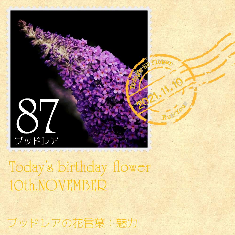 お出かけ先の画像 by 黝-ユウ-♂さん | お出かけ先とブッドレアと誕生花Seriesと花好きバンドマンと花切手とお写んぽと誕生花と誕生花切手シリーズと紫の花