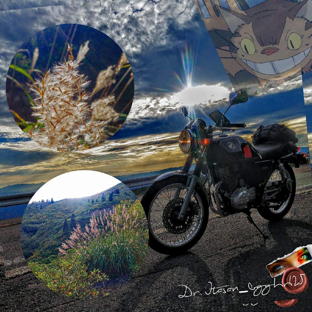 お出かけ先の画像 by bgghr425さん | お出かけ先と蔵王エコーラインとGB250 Clubmanと蔵王国定公園とニャンニャン祭り