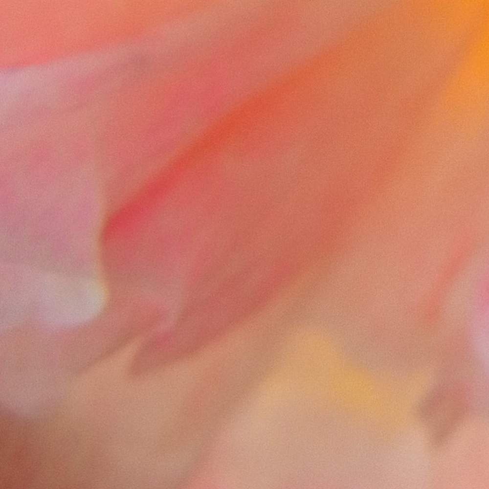 バルコニー/ベランダの画像 by ❦THE HERMIT❦さん | バルコニー/ベランダと酔芙蓉と9PIC