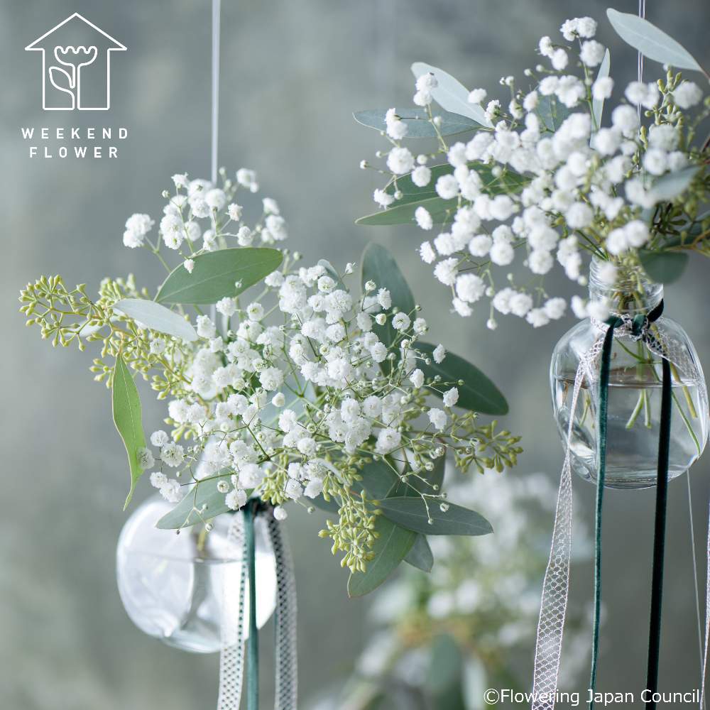 の画像 by WEEKEND FLOWER公式さん | かすみ草 ベールスターとカスミソウとはじめて花屋と花の飾り方とenjoyhomewithflowersと丁寧な暮らしとインテリアフラワーとユーカリ・ポポラスベリーとリビングフラワーとクリスマスオーナメントとウィークエンドフラワーとスタイリングと花と素敵な週末をと花のある暮らしとweekendflowerと花のABCとビタミンFと花の組み合わせとクリスマスと花と器
