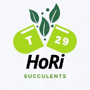 HoRi_t29