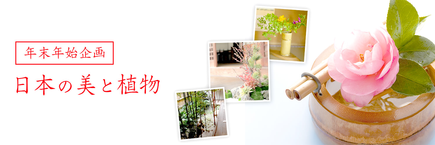 【年末年始企画】日本の美を植物と共にフォトコンテスト