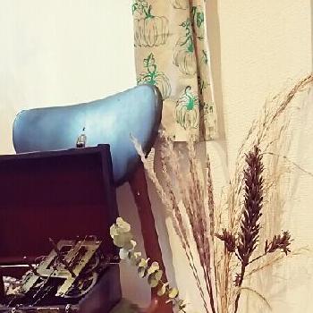 ススキの仲間の投稿画像一覧 Greensnap グリーンスナップ