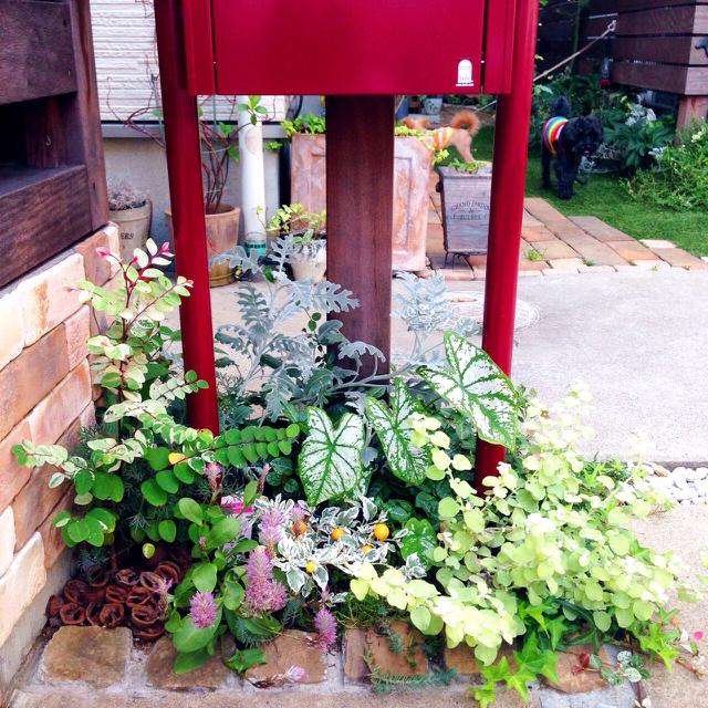 寄せ植えの投稿画像 By Risaさん 花壇とbobiとポスト下の花壇 15月7月24日 Greensnap グリーンスナップ