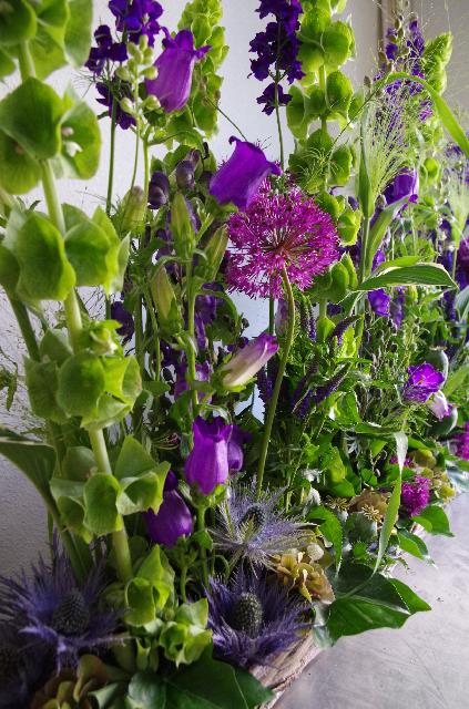 パニカムの投稿画像 By Hinaさん トリカブトとエリンジュームとアリウムとモルセラとアレンジ 15月7月30日 Greensnap グリーンスナップ