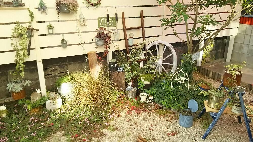 グリーンのある暮らしの投稿画像 By Mai さん シンボルツリーとblog書いてますと手作りの庭とナチュラルガーデンとno Green No Lifeと今日の一枚とミルク缶と車輪とラダーとジャンクガーデン 15月10月30日 Greensnap グリーンスナップ