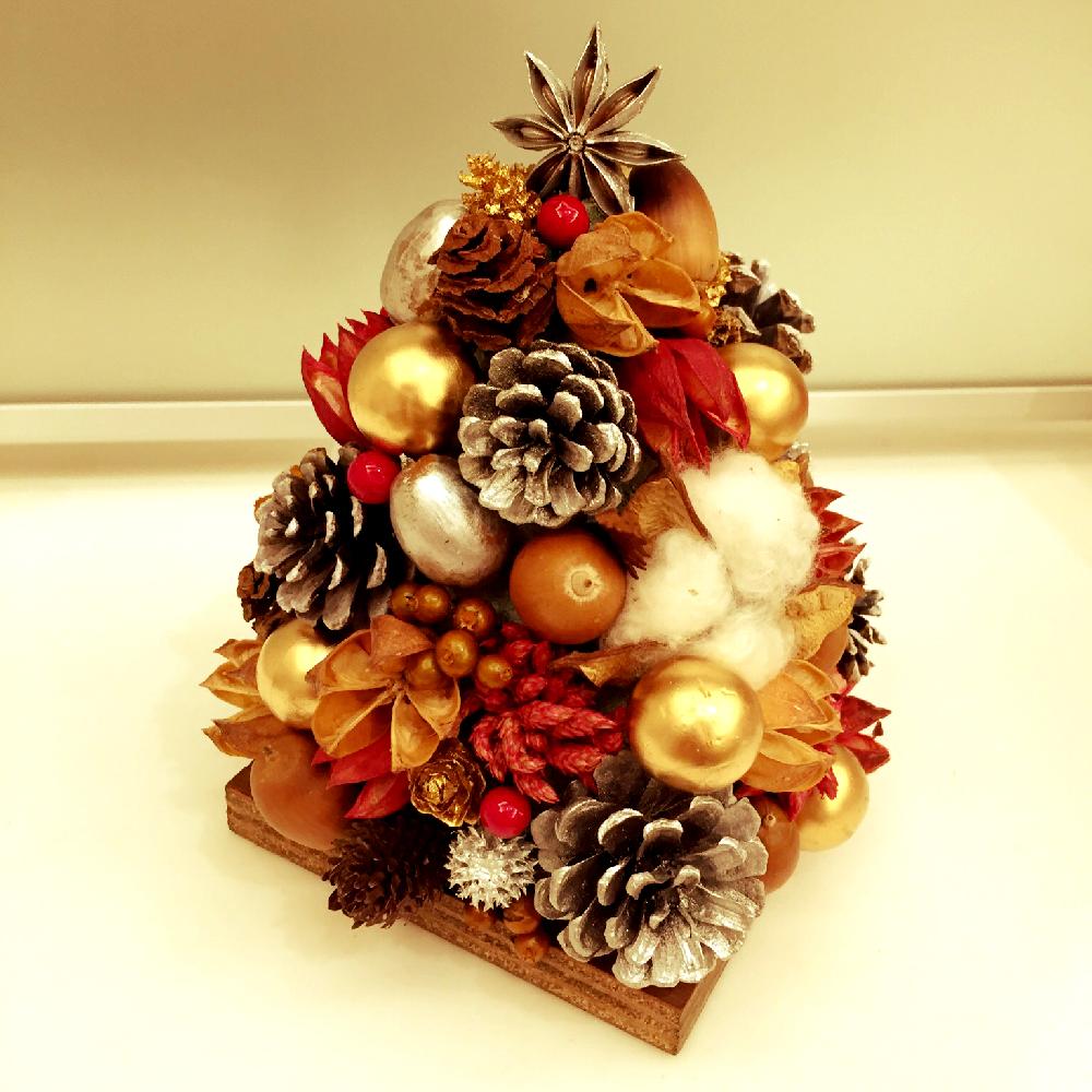 クリスマスツリーの投稿画像 By Yukiさん 松ぼっくりアートとアレンジ 15月11月11日 Greensnap グリーンスナップ