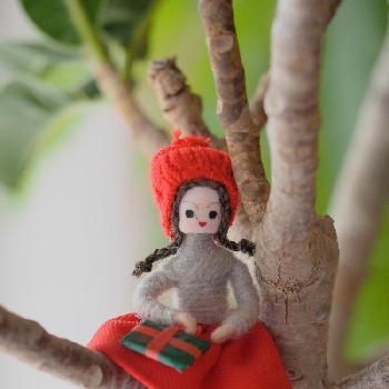 フィカス アポロの画像 by chippiさん | 部屋とフィカス アポロとデンマークの小さな妖精　ニッセとクリスマスの準備とシンボルツリー