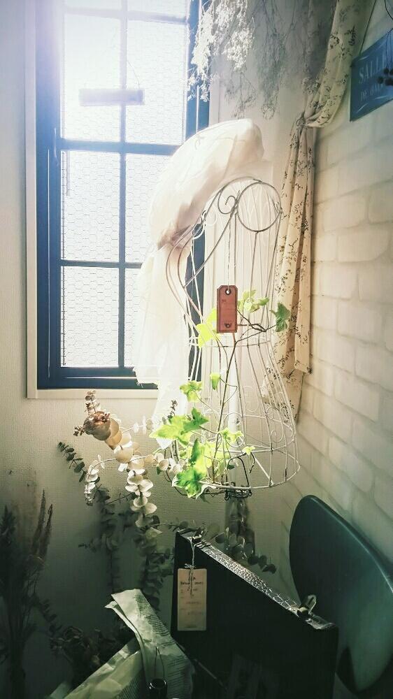 植物のある暮らしの投稿画像 By Mai さん ドライフラワーとblog書いてますとワイヤートルソーとアンティーク雑貨とno Green No Lifeと今日の一枚とdiy窓枠と水耕栽培コンテストとシャビーシックとユーカリドライとインテリアグリーン 15月11月28日 Greensnap