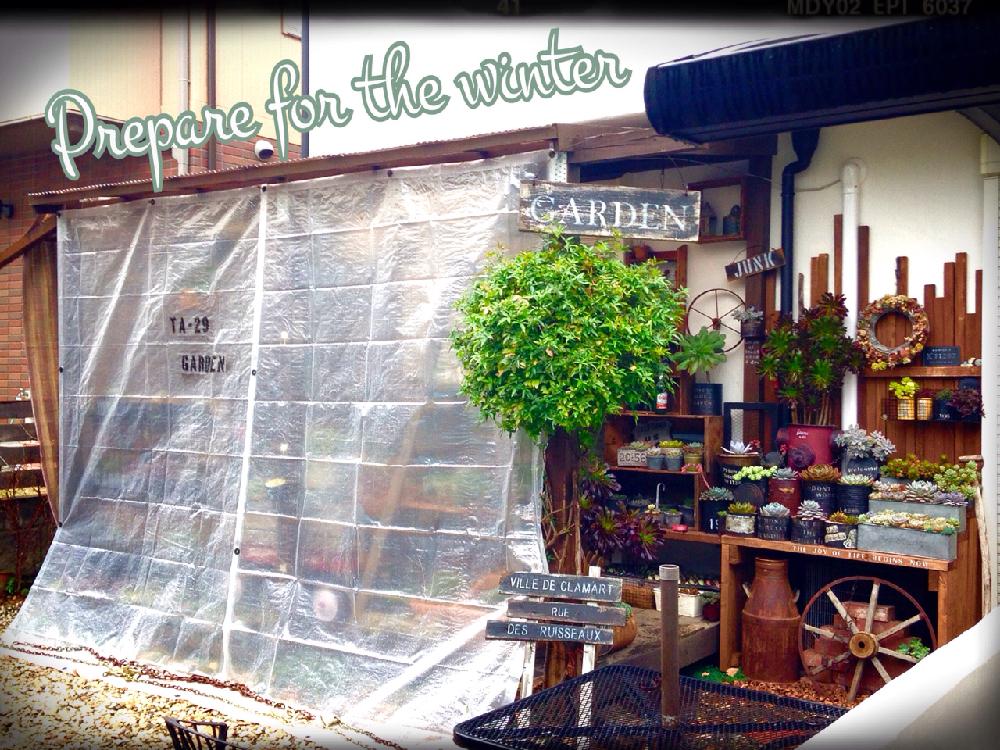 Diy簡易温室の投稿画像 By Ikuraさん 冬越し挑戦と多肉植物 15月12月23日 Greensnap グリーンスナップ