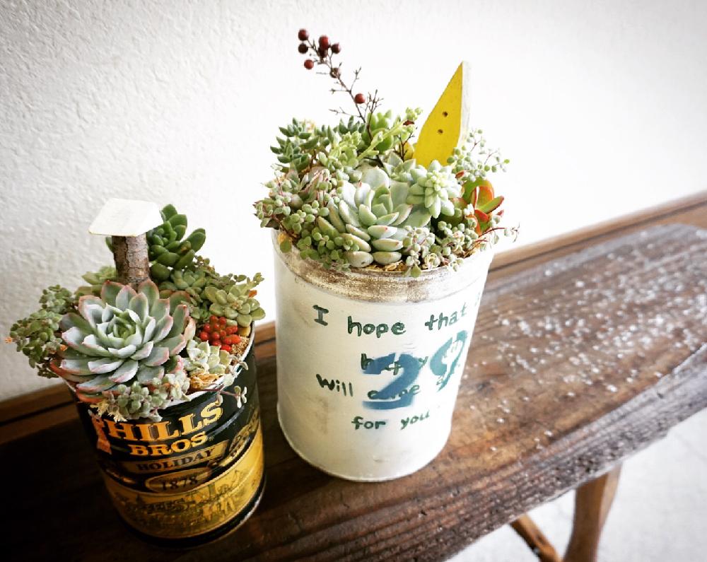 多肉植物の投稿画像 By ぶりこらさん 観葉植物と多肉箱庭と多肉植物寄せ植えと自己流とリメ鉢とサビとリメイク缶とリメイク鉢と多肉 サボテンコンテスト 16月1月25日 Greensnap グリーンスナップ