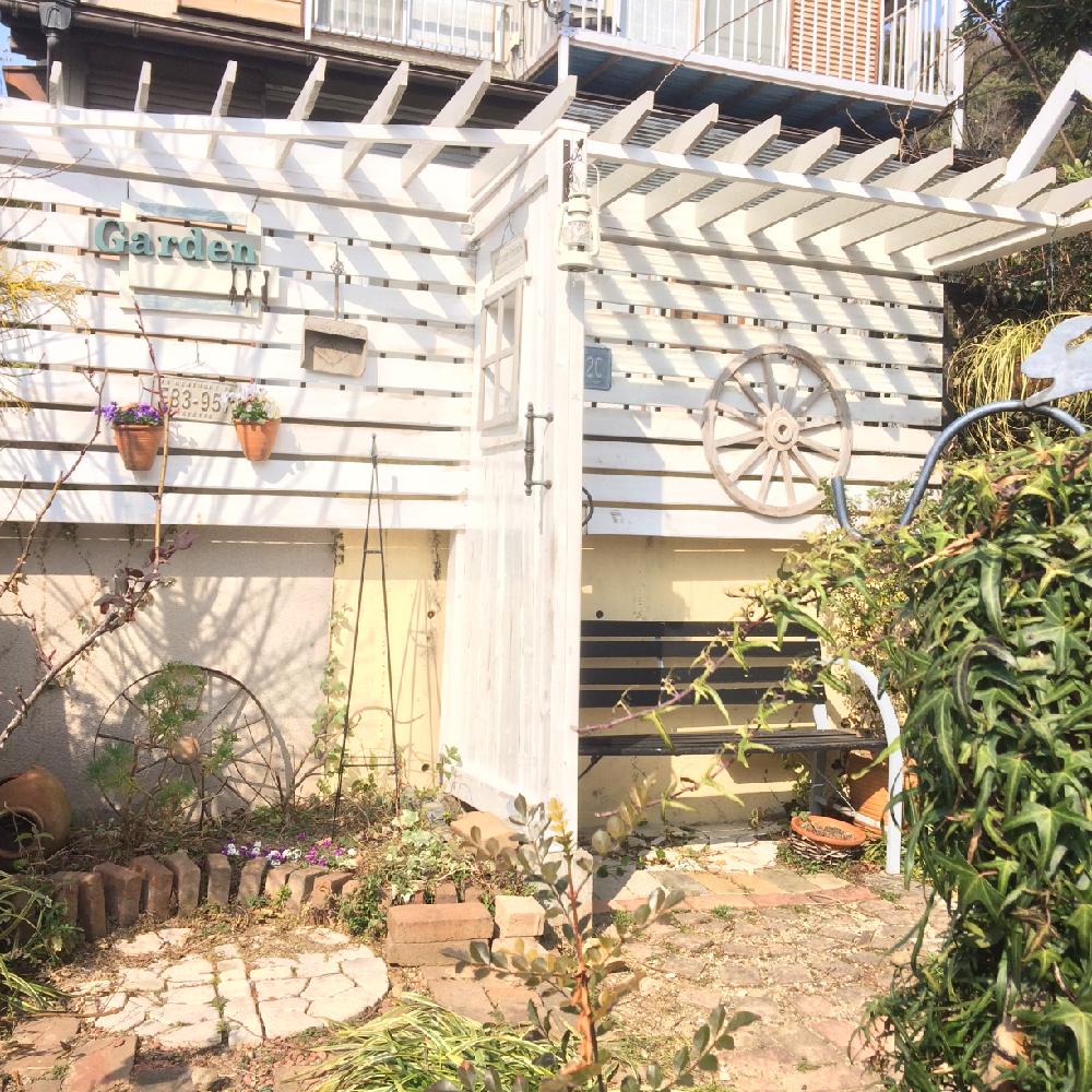 ガーデン記録の投稿画像 By Amiさん 植物のある暮らしと手作りの庭とフェンスdiyとパーゴラdiyとdiyとガーデニングとami S Garden 16月2月28日 Greensnap グリーンスナップ