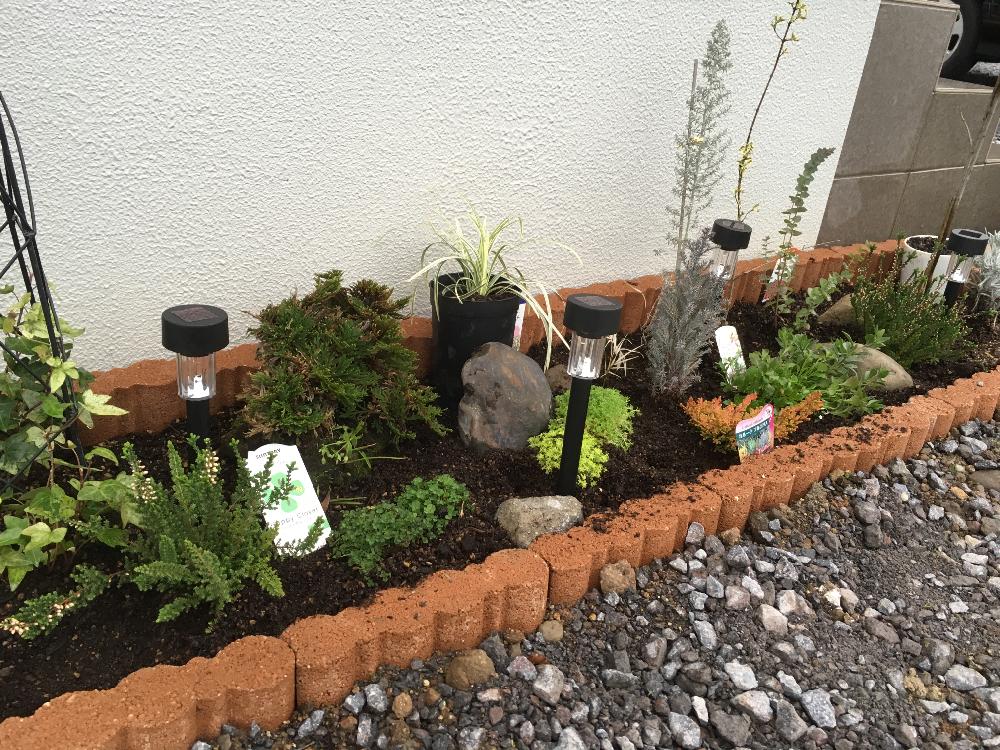 寄せ植え花壇の投稿画像 By 24さん ガーデニングと日本の伝統 16月4月7日 Greensnap グリーンスナップ