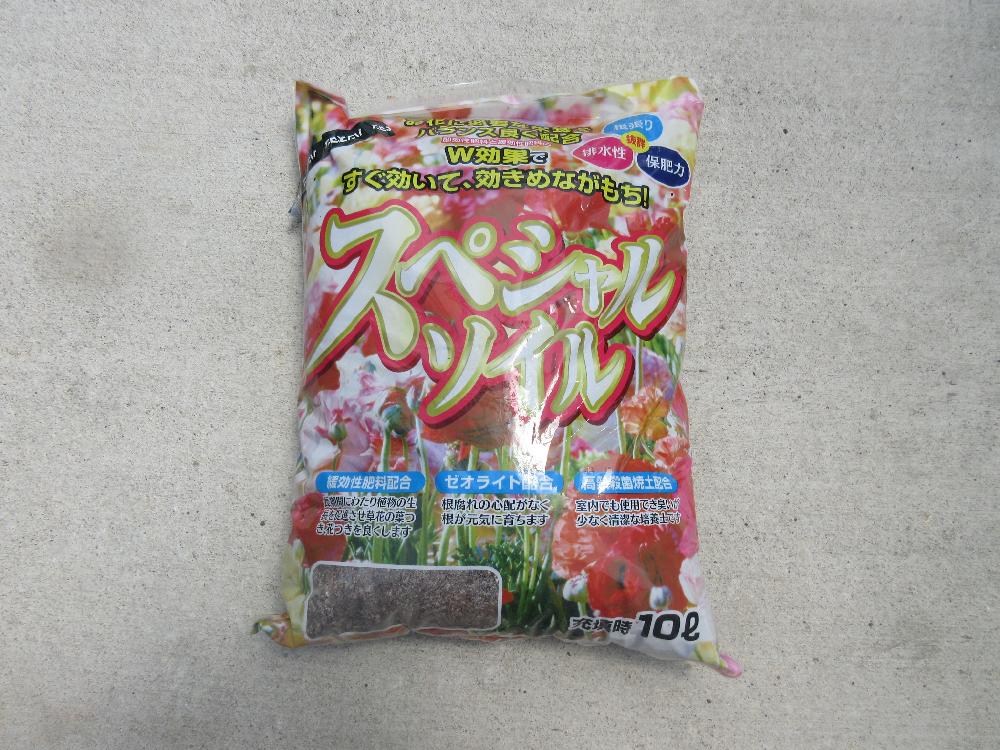 セダム属の投稿画像 By 四十郎さん 多肉植物とクラッスラ属とエケベリア属と多肉の土と多肉植物用土とガーデニング 2016月4月17日 Greensnap グリーンスナップ