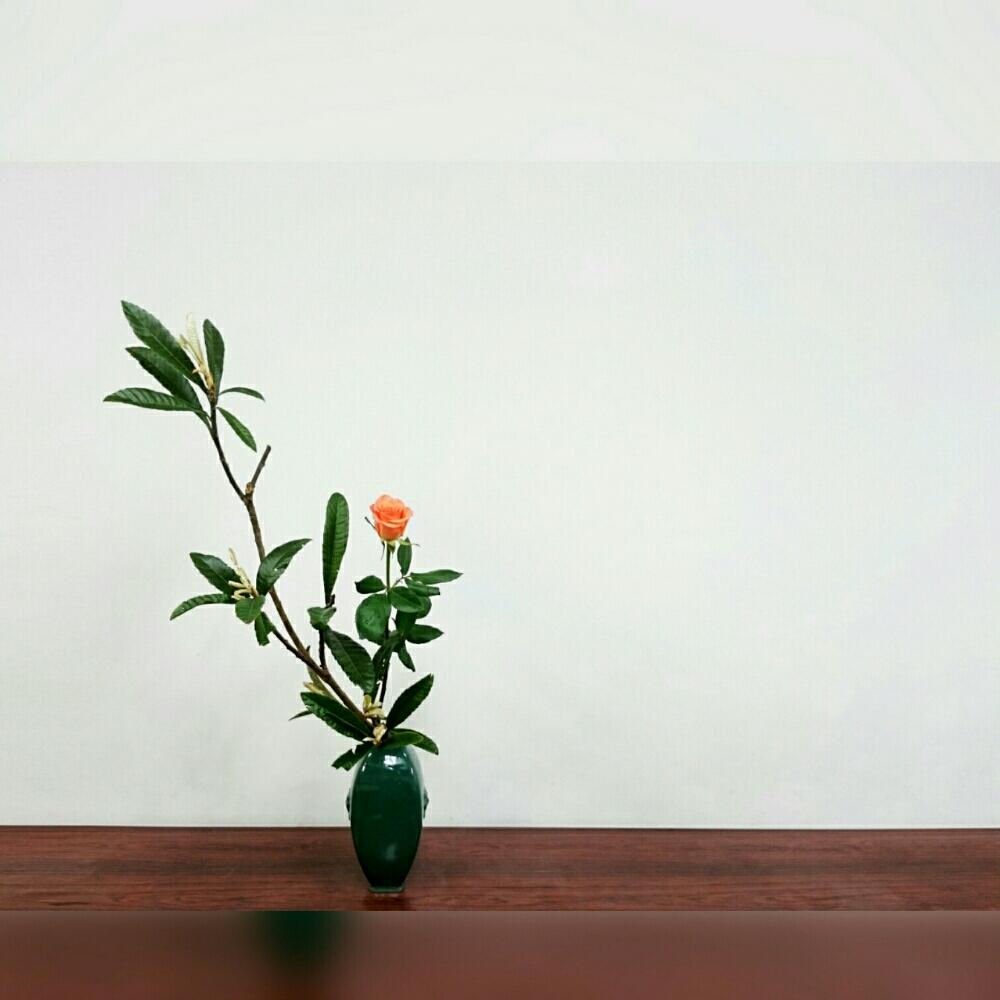バラの投稿画像 By 熊野寿哉さん ビワと瓶花と投げ入れと生け花 16月4月19日 Greensnap グリーンスナップ