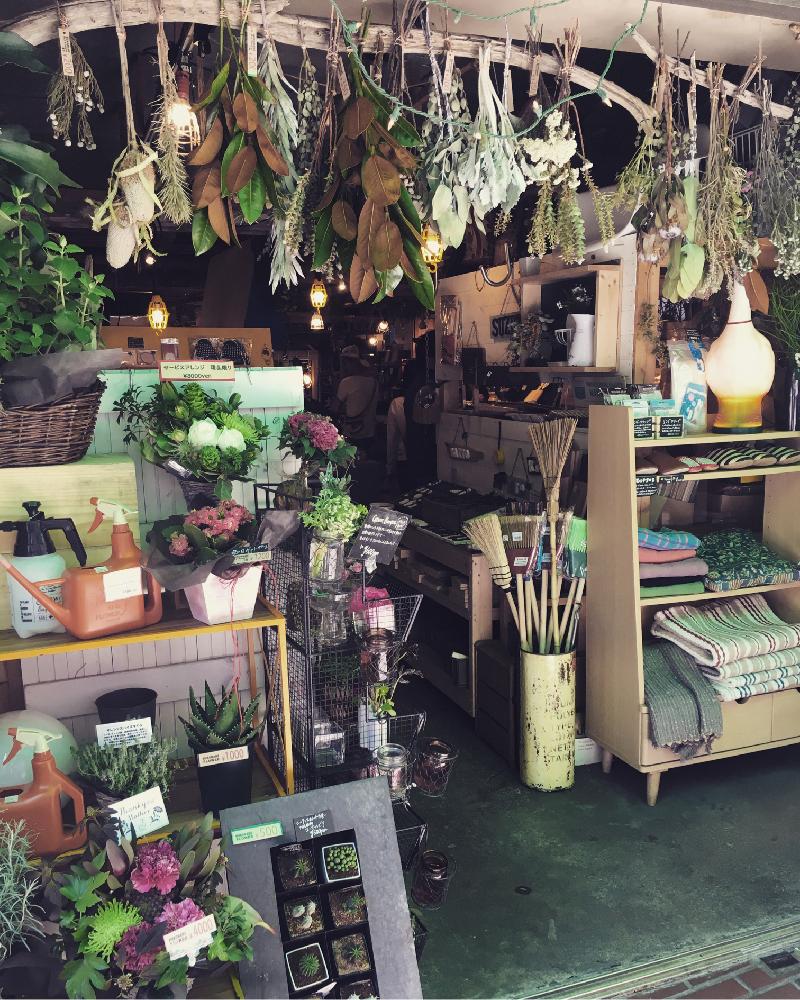 瀬尾商店の投稿画像 By Asanaxxxさん ドライフラワーと雑貨屋と今日の一枚とドライフラワーコンテストとディスプレイ 16月5月4日 Greensnap グリーンスナップ