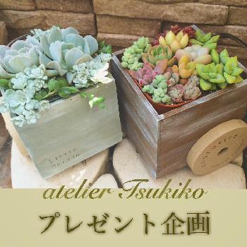 プランターボックスの画像 by tsukikoさん | バルコニー/ベランダと多肉植物とハンドメイドとベランダガーデンとプランターボックス