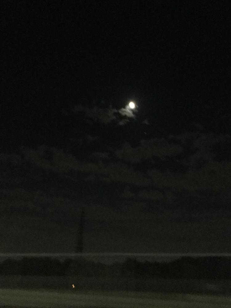 綺麗な月の投稿画像 By 自然大好きさん ナチュラルスタイルと綺麗 16月6月17日 Greensnap グリーンスナップ