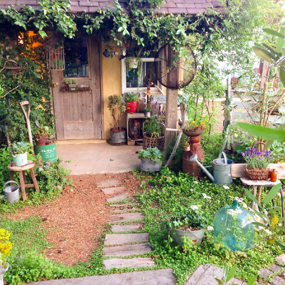 手作りガーデニングコンテストの投稿画像 By Ricocotanさん ガーデニング 16月6月24日 Greensnap グリーンスナップ