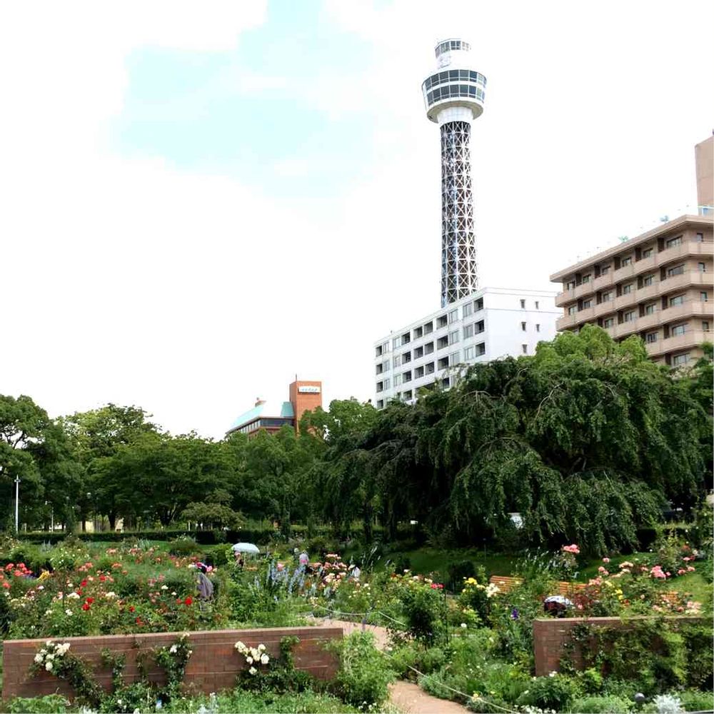 みちょポンチさんの山下公園への投稿