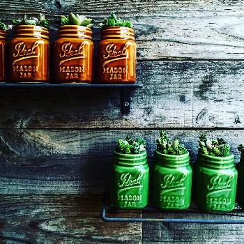 メイソンジャーの投稿画像一覧 Greensnap グリーンスナップ