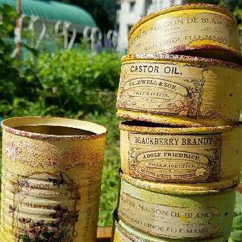 ラベルの投稿画像一覧 Greensnap グリーンスナップ