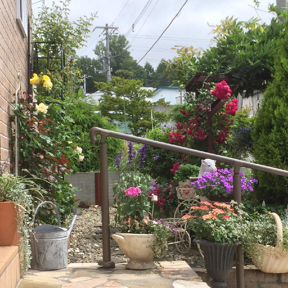 玄関ポーチの投稿画像 By カールさん お花の寄せ植えとグリーンのある暮らしと花のある暮らし 16月7月25日 Greensnap グリーンスナップ