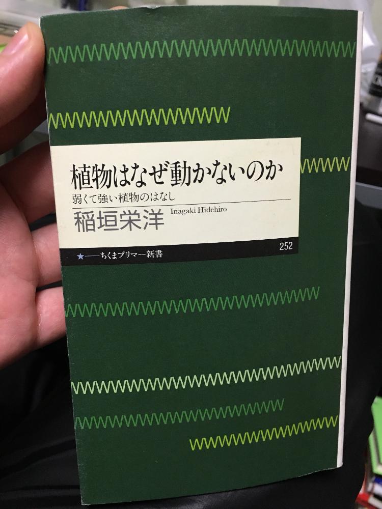 植物はなぜ動かないのかの投稿画像 By 谷中さんさん 今日の一枚 2016月8月8日 Greensnap グリーンスナップ