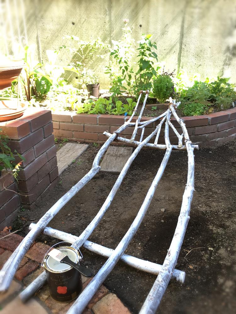 ハーブいろいろの投稿画像 By Tupi さん 葉物野菜とブルーベリーと手作り とめざせおしゃれなポタジェと家庭菜園と今日の一枚とハーブのある暮らしコンテスト16とポタジェと木のオブジェと木のトレリスとdiyと木の枝と地植え 16月8月10日 Greensnap グリーン