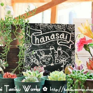 Hanasai    Taniku Works