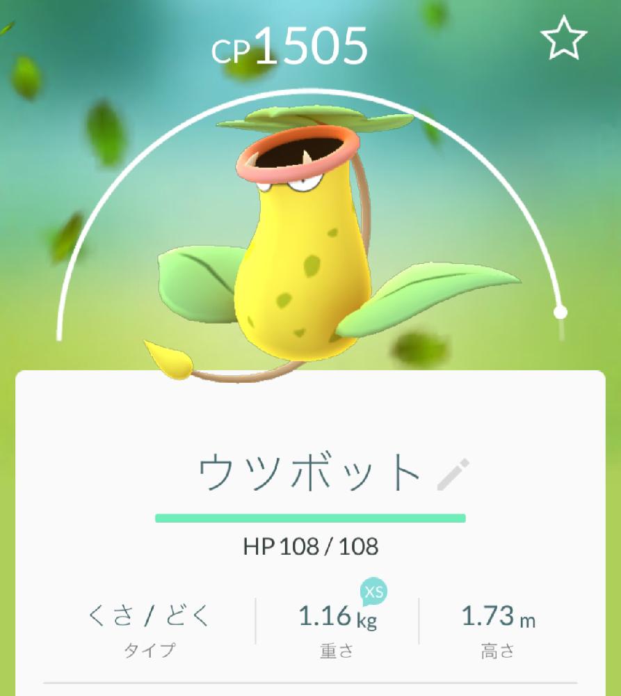ウツボカズラの投稿画像 By ニコチャンさん 部屋と今日の一枚と今日の一枚 16月8月26日 Greensnap グリーンスナップ Greensnap グリーンスナップ ウツボカズラの投稿画像 By ニコチャンさん 部屋と今日の一枚と今日の一枚 16月8月26日 Greensnap グリーンスナップ Greensnap グリーンスナップ