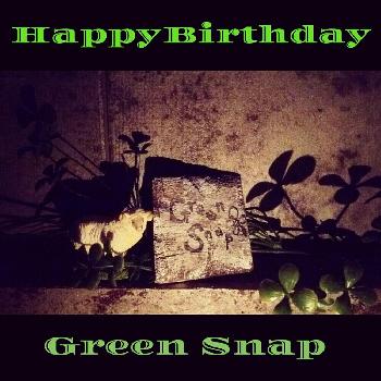GreenSnap二周年の画像 by 朋さん | 部屋とGreenSnap二周年と今日の一枚