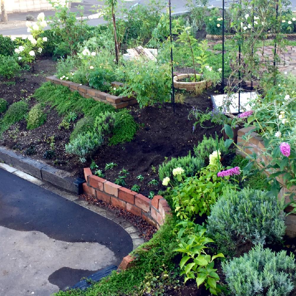 土壌改良中の投稿画像 By C A Gardenさん ジャングルガーデンと縁肥とモルタルとレンガ積みとdiyと土の再生とジャンクガーデンとガーデンdiy 16月8月29日 Greensnap グリーンスナップ