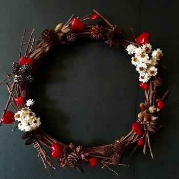 枝のリースの投稿画像一覧 Greensnap グリーンスナップ