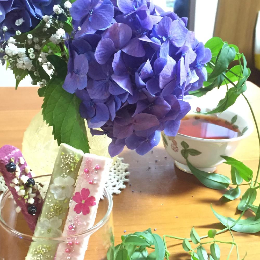 手毬紫陽花の投稿画像 By カールさん 白花かすみ草とグリーンのある暮らしと花のある暮らし 16月9月9日 Greensnap グリーンスナップ 手毬紫陽花の投稿画像 By カールさん 白花かすみ草とグリーンのある暮らしと花のある暮らし 16月9月9日 Greensnap グリーンスナップ