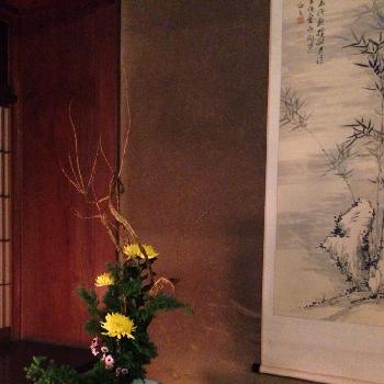 茶室花の投稿画像一覧 Greensnap グリーンスナップ