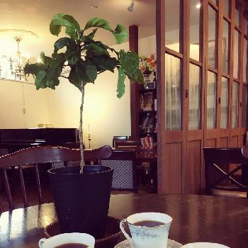 コーヒーの日の画像 by tomoさん | 部屋とコーヒーの木とコーヒーの日とコーヒーとカフェと今日の一枚