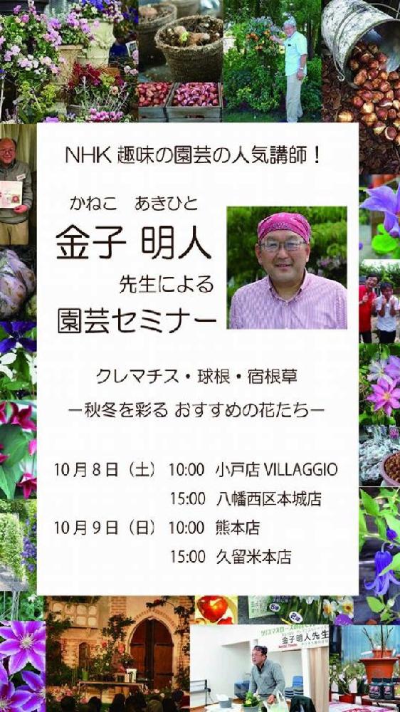 平田ナーセリーの投稿画像 By ケイちゃんさん イベントと福岡 16月10月5日 Greensnap グリーンスナップ 平田ナーセリーの投稿画像 By ケイちゃんさん イベントと福岡 16月10月5日 Greensnap グリーンスナップ
