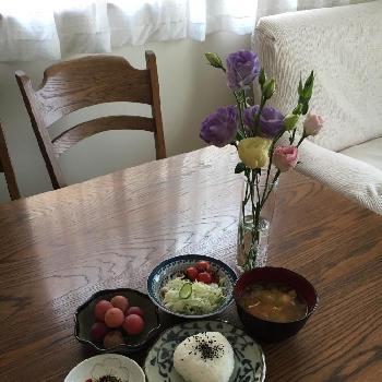 カラーバイオレットの画像 by マーガレットさん | 部屋とカラーグリーンとカラーピンクと花瓶入れただけと今日の一枚と今日のお花とカラーバイオレットとカラーイエローとナチュラルスタイルといつもの食卓と切り花とガラスの器