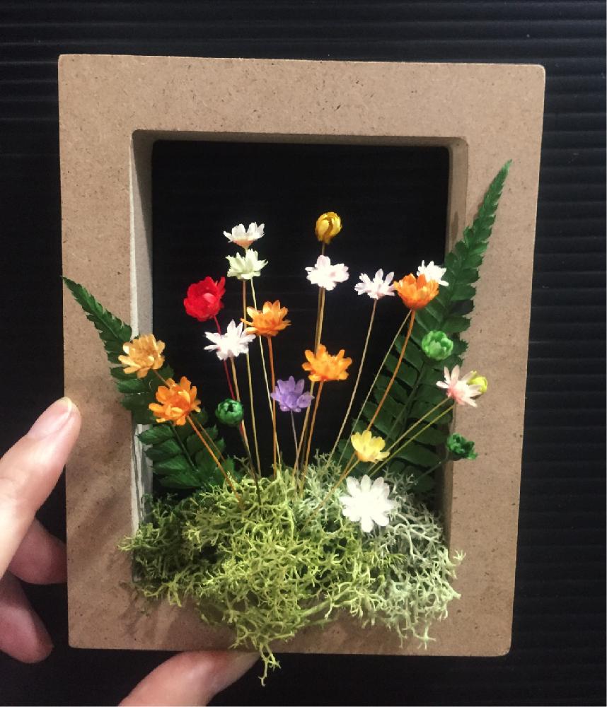 フェニックスフラワーの投稿画像 By ぴこりあさん インテリアと珍奇植物とフラワーアレンジメントと珍奇植物とフラワーアレンジメント 16月10月9日 Greensnap グリーンスナップ Greensnap グリーンスナップ