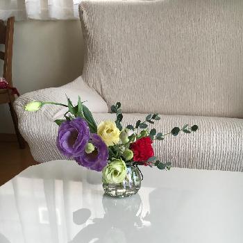 カラーバイオレットの画像 by マーガレットさん | 部屋とカラーグリーンと花瓶入れただけと今日の一枚と今日のお花とカラーバイオレットとレッドとカラーイエローとナチュラルスタイルとケイトウ✿とバラを楽しむと切り花とガラスの器