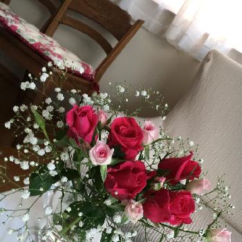 カラーピンクの画像 by マーガレットさん | 部屋とカラーピンクと花瓶入れただけとカラーホワイトと今日の一枚と今日のお花とナチュラルスタイルとバラを楽しむと切り花とガラスの器