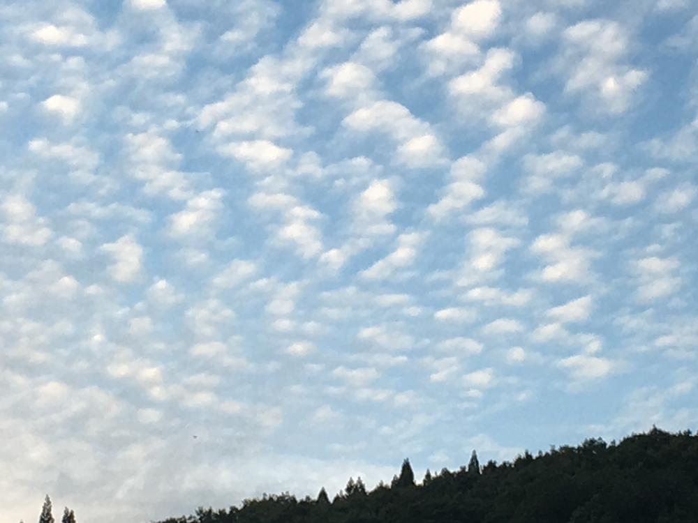 杉山の投稿画像 By Zuccasawaさん 綺麗な雲と空好き 16月10月16日 Greensnap グリーンスナップ