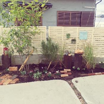 自作花壇の投稿画像一覧 Greensnap グリーンスナップ